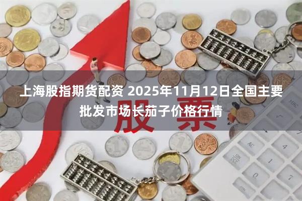上海股指期货配资 2025年11月12日全国主要批发市场长茄子价格行情